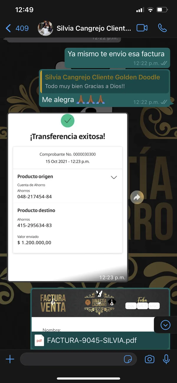 Comprobante de transferencia