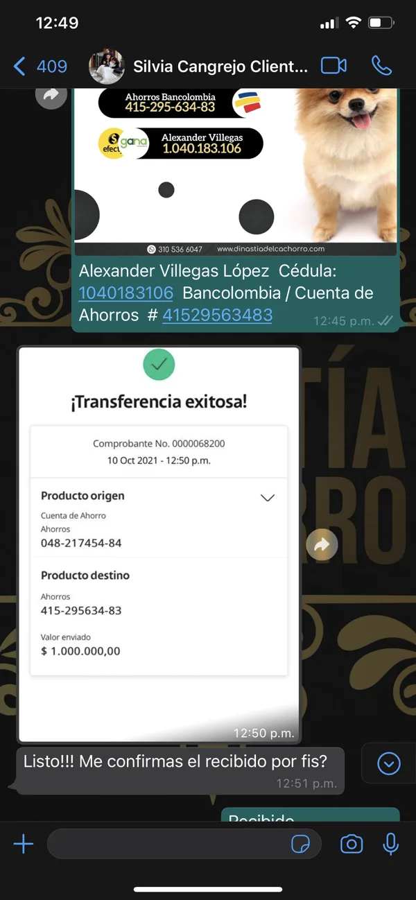 Comprobante de transferencia