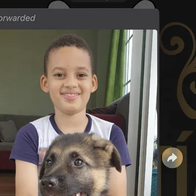 Niño con cachorro Pastor Alemán